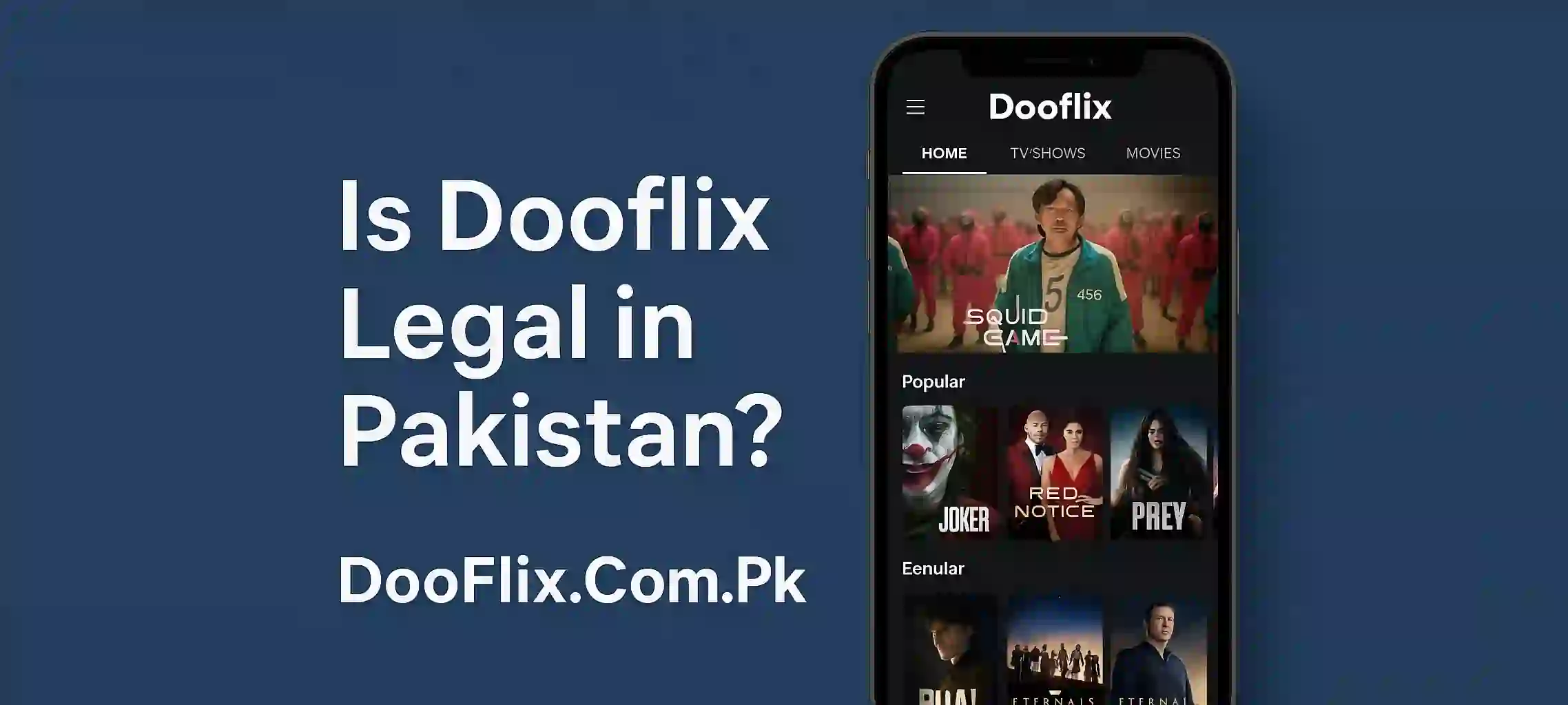 Is Dooflix Legal in Pakistan (1)